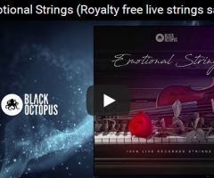 情感弦乐Black Octopus Sound Emotional Strings WAV-DISCOVER