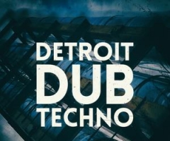 Technoز5Pin Media Detroit Dub Techno MULTiFORMAT
