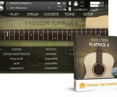 Evolution Flatpick 6 钢弦木吉他