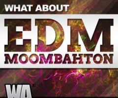 EDM素材包1WA Production What About EDM Moombahton MULTiFORMAT