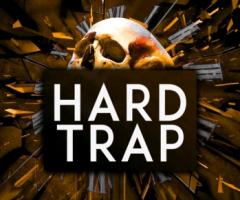 TrapزAudentity Records Hard Trap WAV MiDi-DISCOVER