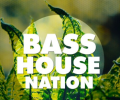 House زBig EDM Bass House Nation WAV MiDi XFER RECORDS SERUM-DISCOVER