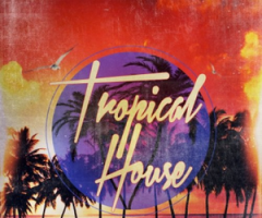 HouseزHouse Of Loop Tropical House MULTiFORMAT