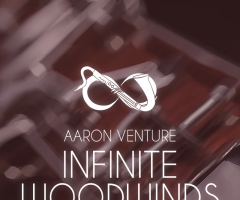 Aaron Venture - Infinite Woodwinds v2.0ľ