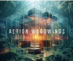 ӰľAction Woodwinds v1.0.0 KONTAKT