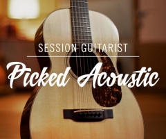 ľNative Instruments Session Guitarist Picked Acoustic v1.0 KONTAKT